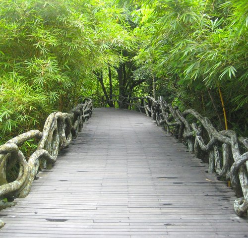 images